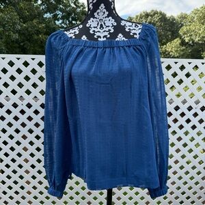 NWT Anne Taylor Sheer Blouse